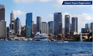 www.caindelhiindia.com; import-export registration