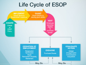 COMPLETE UNDERSTANDING EMPLOYEE STOCK OPTION PLAN - India Financial