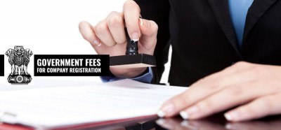 Government fees for company registration